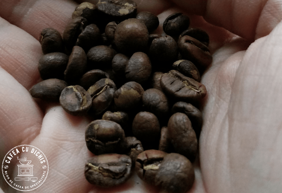 Guatemala Las Crucitas - Muse Coffee