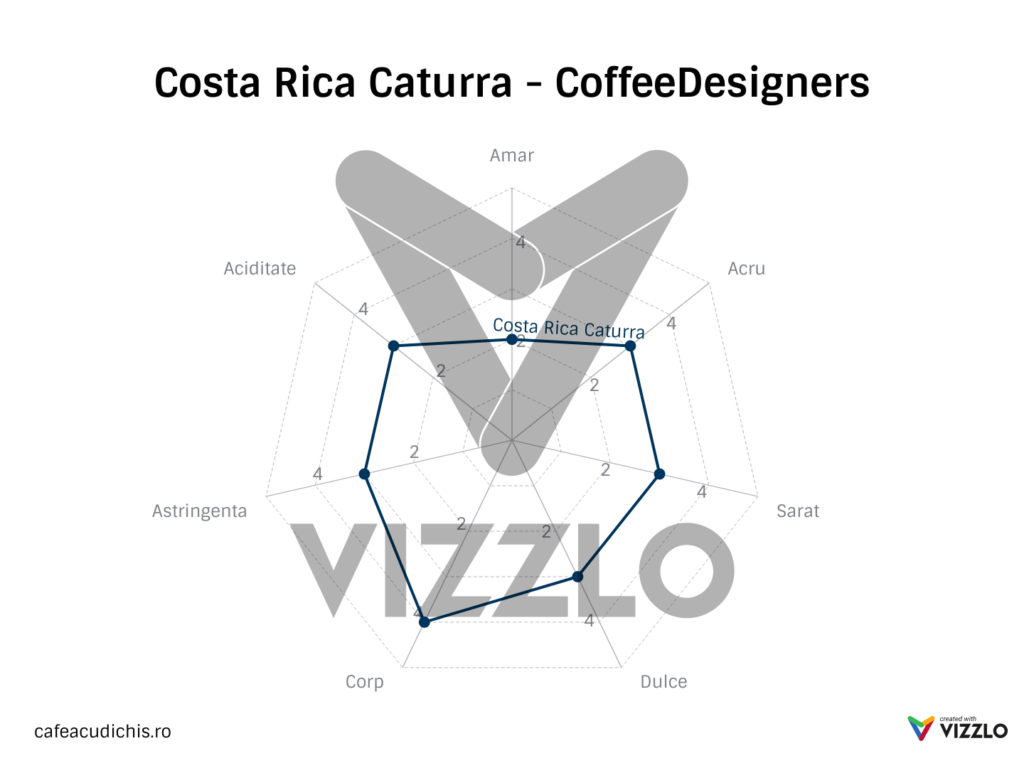 Costa Rica Coffee Designers Espressocafe